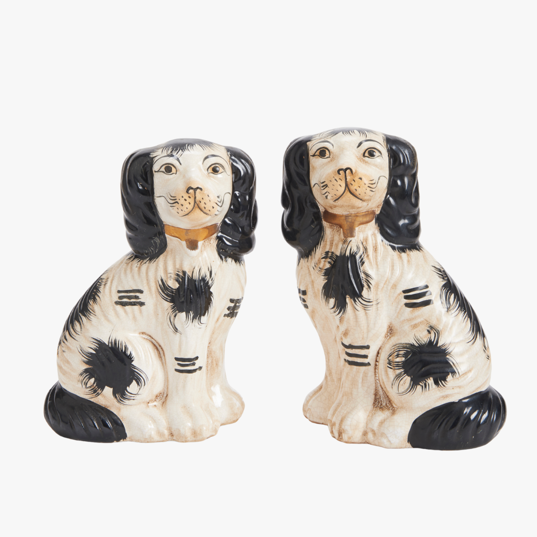 Chiens noirs du Staffordshire