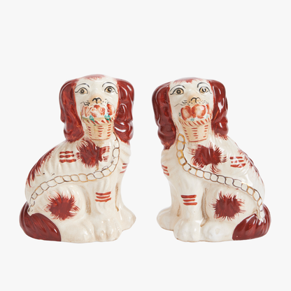 Chiens du Staffordshire bruns