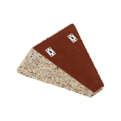 Support mural coquillages mixtes