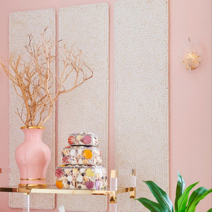 Coffret de coquillages mélangés Sanibel