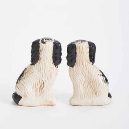 Chiens noirs du Staffordshire