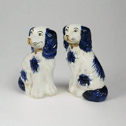 Chiens bleus du Staffordshire